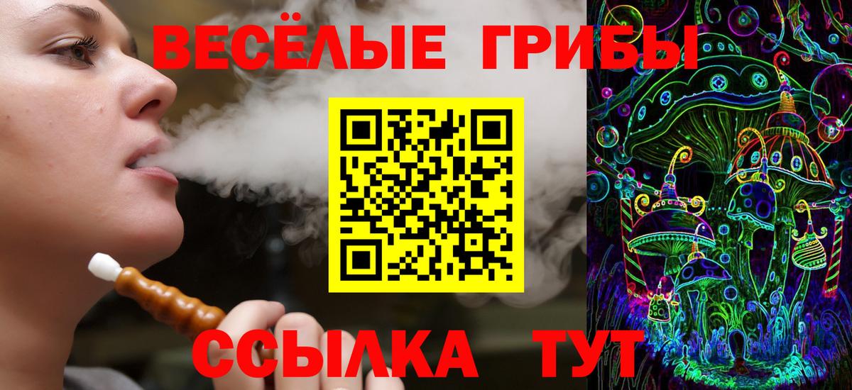 Псилоцибиновые грибы Magic Shrooms  Псилоцибиновые грибы ЛСД  Электрогорск  Вход с VPN 